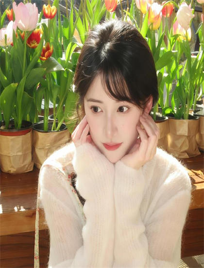 《深情孤女的愿望》最佳观看顺序指南必看的：系列作品观看建议